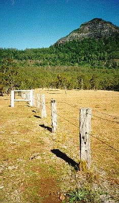 farm1.jpg