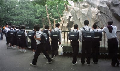 008.jpg