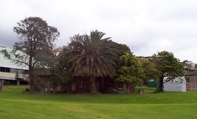 P000424.JPG