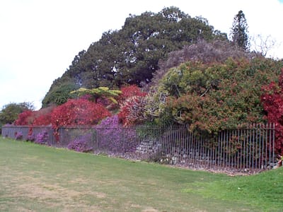 P000443.JPG