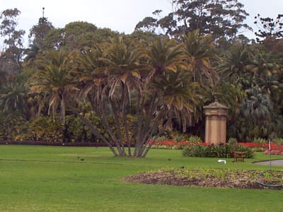 P000444.JPG