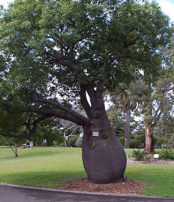 P000450.JPG