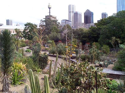 P000451.JPG