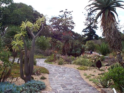 P000452.JPG