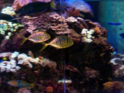 P000463.JPG