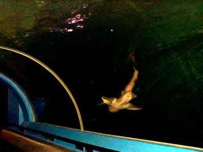 P000467.JPG