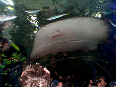 P000482.JPG
