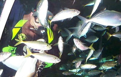 P000483.JPG