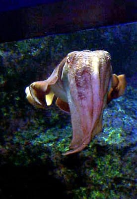 P000485.JPG