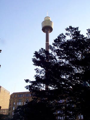 P000497.JPG