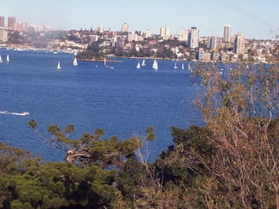 P000522.JPG