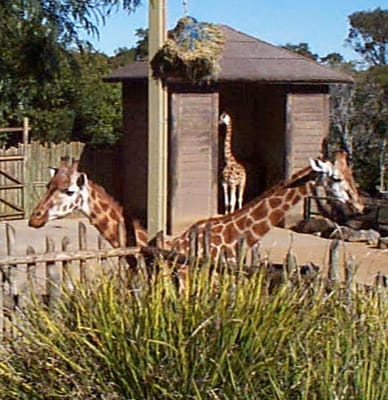P000533.JPG