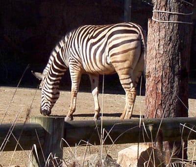 P000535.JPG
