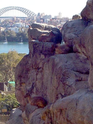P000537.JPG