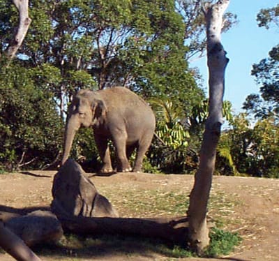 P000540.JPG
