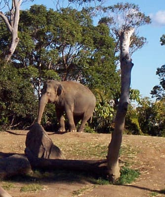 P000541.JPG