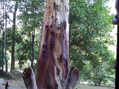 P000871.JPG