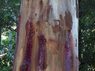P000872.JPG