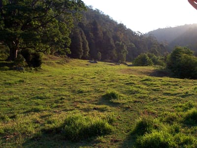P000886.JPG