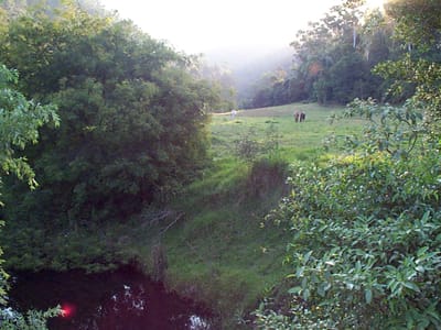 P000887.JPG