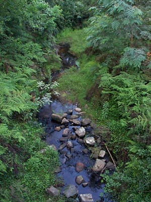 P000888.JPG