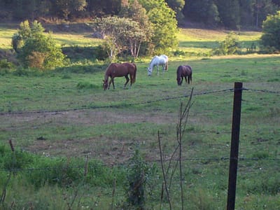 P000889.JPG
