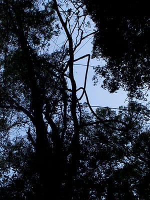 P000893.JPG