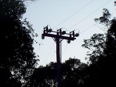P000894.JPG