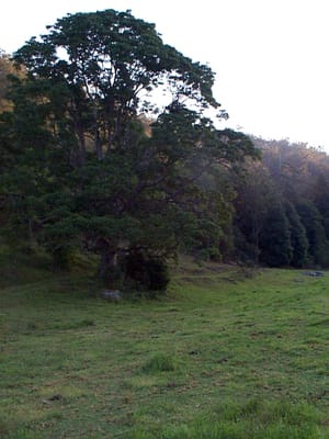P000895.JPG