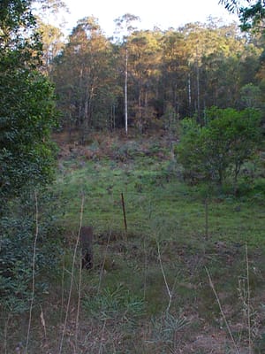 P000896.JPG