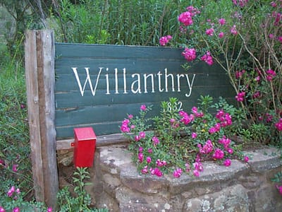 P000897.JPG