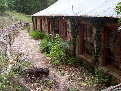 P001227.JPG