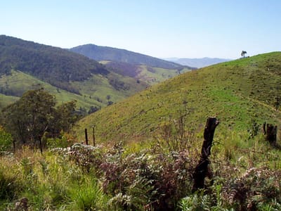 P001066.JPG