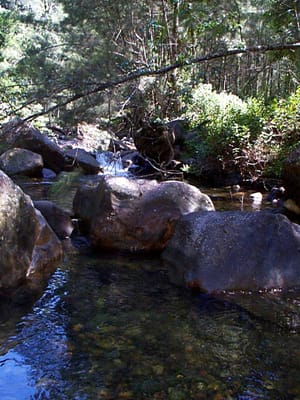 P001067.JPG