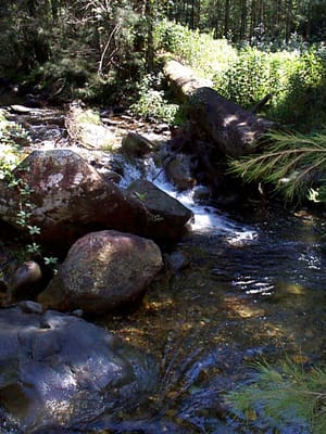 P001068.JPG