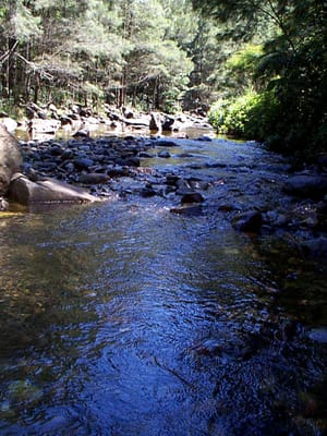 P001072.JPG