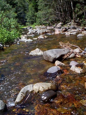 P001073.JPG