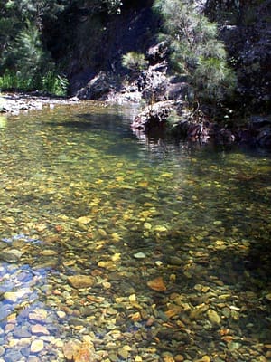 P001074.JPG