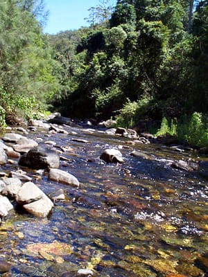 P001076.JPG