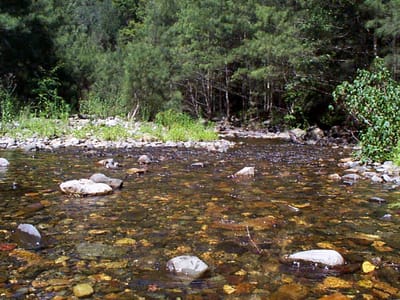P001077.JPG