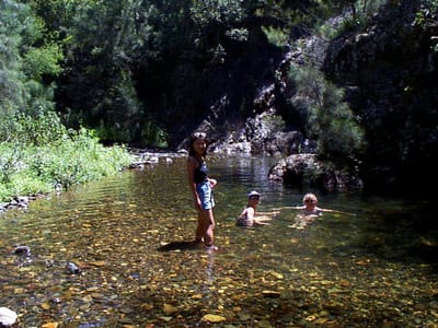 P001078.JPG