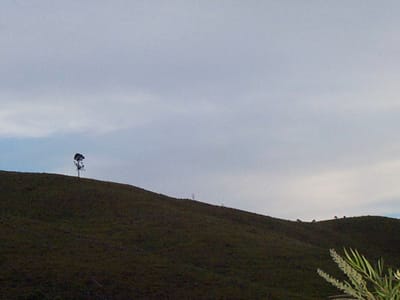 P001101.JPG