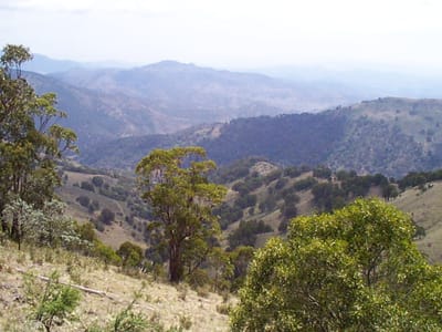 P001103.JPG