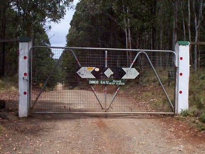 P001106.JPG