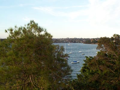 P002286.JPG