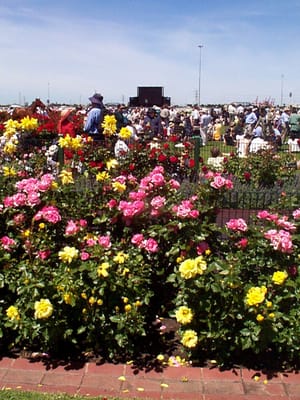 P001840.JPG