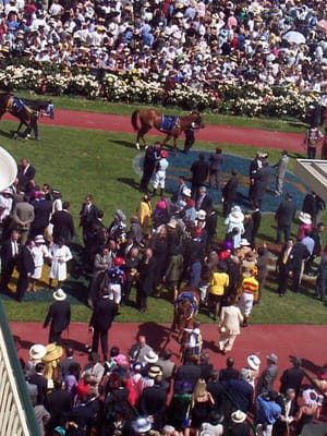 P001851.JPG