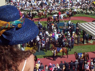 P001852.JPG