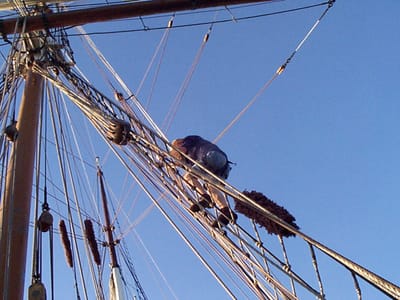 P001992.JPG