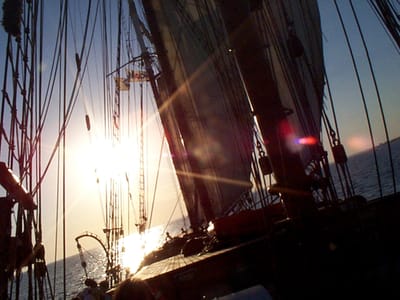 P002009.JPG